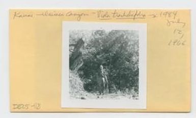 [Viola tracheliifolia in Hawaii, envelope IE25-118]