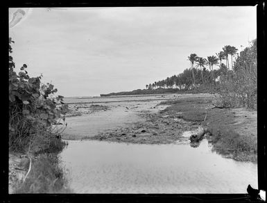 Lagoon, Rarotonga, Cook Islands, including palm trees on land