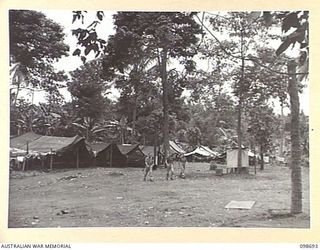 RABAUL, NEW BRITAIN. 1945-11-08. THE MEN'S TENT LINES AND SURROUND AREA, 51 AND 55 ORDNANCE FIELD PARK