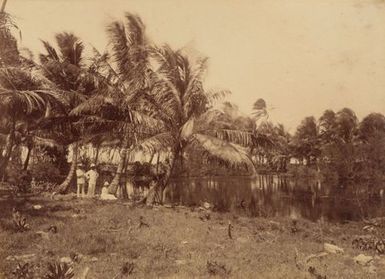 Jaluit. From the album: Views in the Pacific Islands