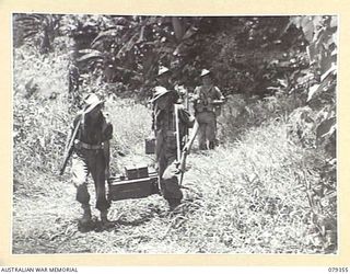 LAE, NEW GUINEA. 1945-03-11. SIGNALLERS OF THE NEW GUINEA SCHOOL OF SIGNALS CARRYING A WS208 MARK II SET THROUGH ROUGH JUNGLE COUNTRY