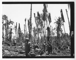 [Gathered Servicemen on Guadalcanal]