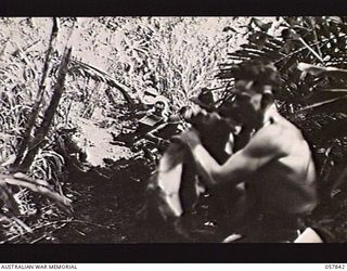 FINSCHHAFEN, NEW GUINEA. 1943-09-23. WHEN IT WAS FOUND IMPOSSIBLE TO IMPROVE ON THE TRACK CARVED OUT BY THE PIONEERS FOR THE PASSAGE OF SUPPLIES AND THE EVACUATION OF THE WOUNDED, MEMBERS OF AN ..