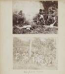 New Guinea scene, c1890 ; New Guinea scene, c1890