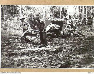 GODOWA, NEW GUINEA. 1943-11-05. TROOPS OF THE 11TH BATTERY, 2/3RD AUSTRALIAN TANK ATTACK REGIMENT AND THE 2/6TH AUSTRALIAN FIELD REGIMENT MANHANDLING A 57MM GUN INTO POSITION. SHOWN ARE: NX66317 ..