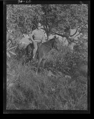 [Negative of a Soldier Emerging Form Trees on Horseback, #2]