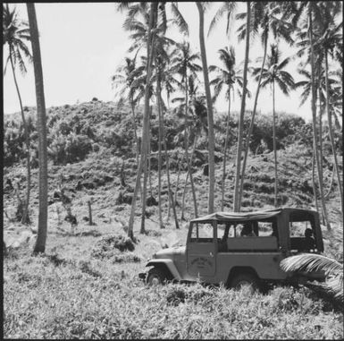 Remains of an old fort, Taveuni, Fiji, 1966, 1 / Michael Terry