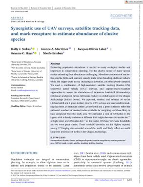 Synergistic use of UAV surveys, satellite tracking data, and mark‐recapture to estimate abundance of elusive species