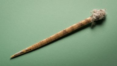 Tahitian Needle