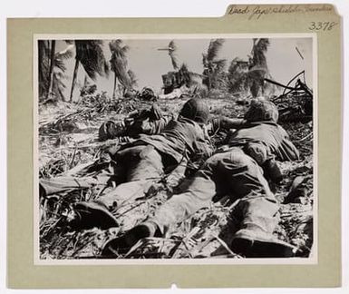 Photograph of Two U.S. Marines in the Front Line at Parry Island