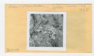[Sida in Hawaii, envelope IE33-149]