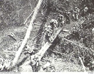 KANKIRYO SADDLE, FINISTERRE RANGE, NEW GUINEA, 1944-02-15. MEMBERS OF "B" COMPANY 57/60TH INFANTRY BATTALION MOVING UP KANKIRYO SADDLE ALONG STEPS CUT BY THE 2/9TH BATTALION. THEY ARE ON THE MARCH ..