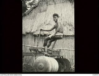 NEW GUINEA. 1943-12-22. BENDUO, A NATIVE WORKER WHO OPERATES THE FOUR-DISC COTTON-KING WHICH IS USED FOR HILLING AFTER PLANTING AND FOR THE VERY NECESSARY DRAINAGE OF FLAT AREAS IN THE RAAF GARDEN
