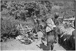 Distribution of wild pig meat: men discuss division of cooked pork, shared with every Tsembaga