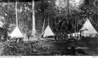 THE CAMP IN THE JUNGLE AT MARBERI ON BOUGAINVILLE ISLAND, NEW GUINEA, OF CAPTAIN HUNT'S SURVEY PARTY, 1917. (DONATED BY F.O. CUTLER.)