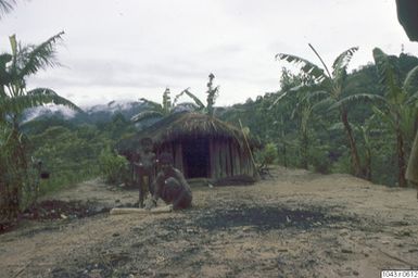 ["fotografi, photograph"]