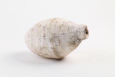 Taro (part 2 of Westminster)