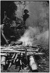 Pig festival, uprooting cordyline ritual, Tsembaga: in ancestral shrine, men heat stones on smoky fire for pandanus fruit dedication