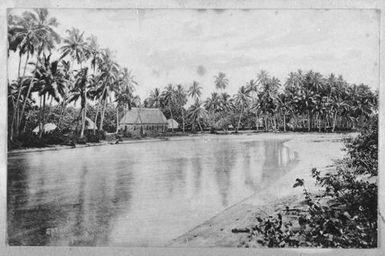 River scene, Samoa. From the album: Skerman family album