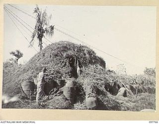 RABAUL, NEW BRITAIN. 1945-10-05. ONE OF THE MANY JAPANESE STRONGPOSTS AROUND RABAUL. THESE ARE NOW BEING CLEARED OF UNDERGROWTH BY THE JAPANESE AND DEMOLISHED