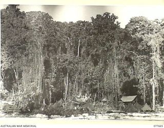 JACQUINOT BAY, NEW BRITAIN. 1944-12-13. THE TEMPORARY NATIVE COMPOUND OF THE AUSTRALIAN NEW GUINEA ADMINISTRATIVE UNIT ESTABLISHED NEAR THE MOUTH OF THE MALOPI RIVER