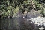 Anne Scheffler swimming in a lake