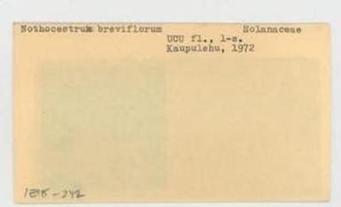 [Nothocestrum breviflorum in Hawaii, envelope IE18-242]