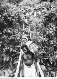 1943-06-28. NEW GUINEA. WAU-MUBO AREA. NATIVE CARRIERS SET OUT ALONG THE TRACK IN THE WAU-MUBO AREA, CARRYING SUPPLIES TO FORWARD AREAS. (NEGATIVE BY G. SHORT)