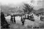 Pig festival, pig sacrifice, Tsembaga: large crowd on dance ground below ritual fence, awaits presentation of salted pork to honored allies