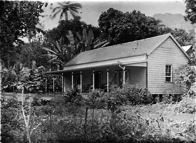 View of a house among the palms and pandanus