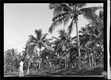 View of a man looking through a camera alongside a local Tongan man with coconut palm trees beyond, Tonga