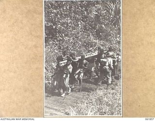 UBERI, NEW GUINEA. 1943-12-19. NATIVES CARRYING "WOUNDED" PAST MEN OF THE 2/9TH AUSTRALIAN INFANTRY BATTALION MOVING TO THE "FRONT LINE" ALONG THE KOKODA TRAIL IN THE OWEN STANLEY RANGES DURING THE ..