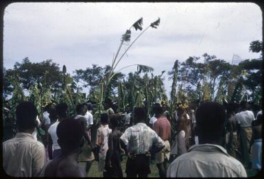 Sing-sing on Boxing Day at the Old Football Oval, Lae, between 1955 and 1960, [8] Tom Meigan
