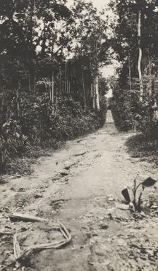 Filled in trench on the Bita Paka Road, Bita Paka region, German New Guinea, 1914