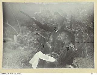 LIEUTENANT G.M. NATHAN (2) LEADING A FORWARD OBSERVATION PATROL FROM C COMPANY, 2/1 INFANTRY BATTALION POINTS OUT FEATURES WITH HIS MACHETTE TO CAPTAIN D.F. EDDY, 2/2 FIELD REGIMENT (1), AND ..