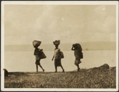 Three laden Tolai women, Rabaul, New Guinea, 1929 / Sarah Chinnery