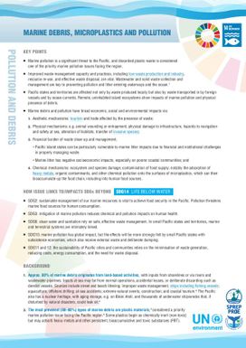 Marine Debris, Microplastics and Pollution