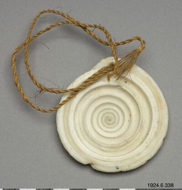 shell disc, sea shell disc