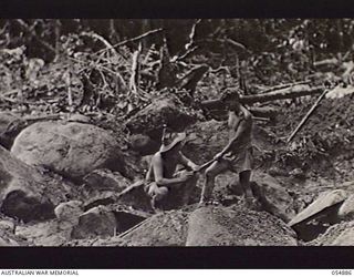 BULLDOG-WAU ROAD, NEW GUINEA, 1943-07-12. DRIVER N. D. CARTER (LEFT) AND DRIVER W. H. PAYNE OF HEADQUARTERS, ROYAL AUSTRALIAN ENGINEERS, 11TH AUSTRALIAN DIVISION, LAYING CHARGES FOR CLEARING ..