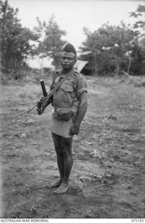 HANSA BAY-SEPIK RIVER AREA, NEW GUINEA. 1944-08-05. 427 SERGEANT BENGARI, MM, A COMPANY, PAPUAN INFANTRY BATTALION, WHO HAS 104 JAPANESE TO HIS CREDIT AND HAS BEEN RECOMMENDED FOR THE DCM