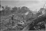 Land clearing: men remove trees and bushes from rocky land, preparing for construction