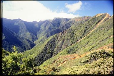 Shrub-covered hills