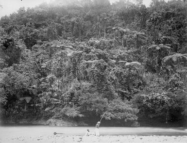 River bank on the Wai-na-Mala