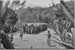 Pig festival, singsing, Kwiop: decorated men with feather headdresses in columns on dance grounds