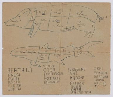 Samoan butcher diagram