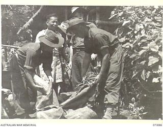 BASU RIVER VALLEY, NEW GUINEA. 1944-05-14. MEMBERS FROM THE NEARBY 15TH INFANTRY BATTALION PURCHASING BEANS, PAWPAWS AND PUMPKINS FROM AH FAT, A 55 YEAR OLD MEMBER OF A CHINESE FARMING COMMUNITY ..