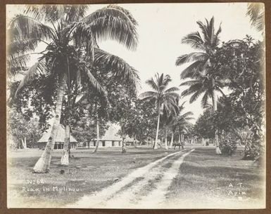 Road in Mulinu'u. From the album: Samoa