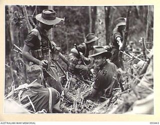 WEWAK AREA, NEW GUINEA. 1945-06-27. MEMBERS OF C COMPANY, 2/8 INFANTRY BATTALION, TAKING SHELTER ON THE HILLSIDE DURING THE ATTACK AGAINST JAPANESE FORCES ON MOUNT SHIBURANGU. IDENTIFIED PERSONNEL ..