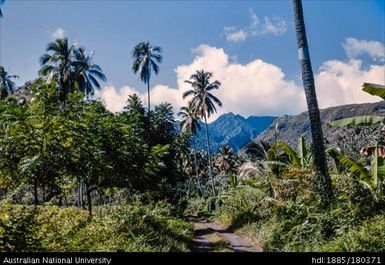 Tahiti - road to Marae Arahurahu Marae, Paea
