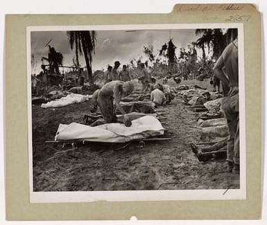 The Dead At Peleliu -- Row on Row